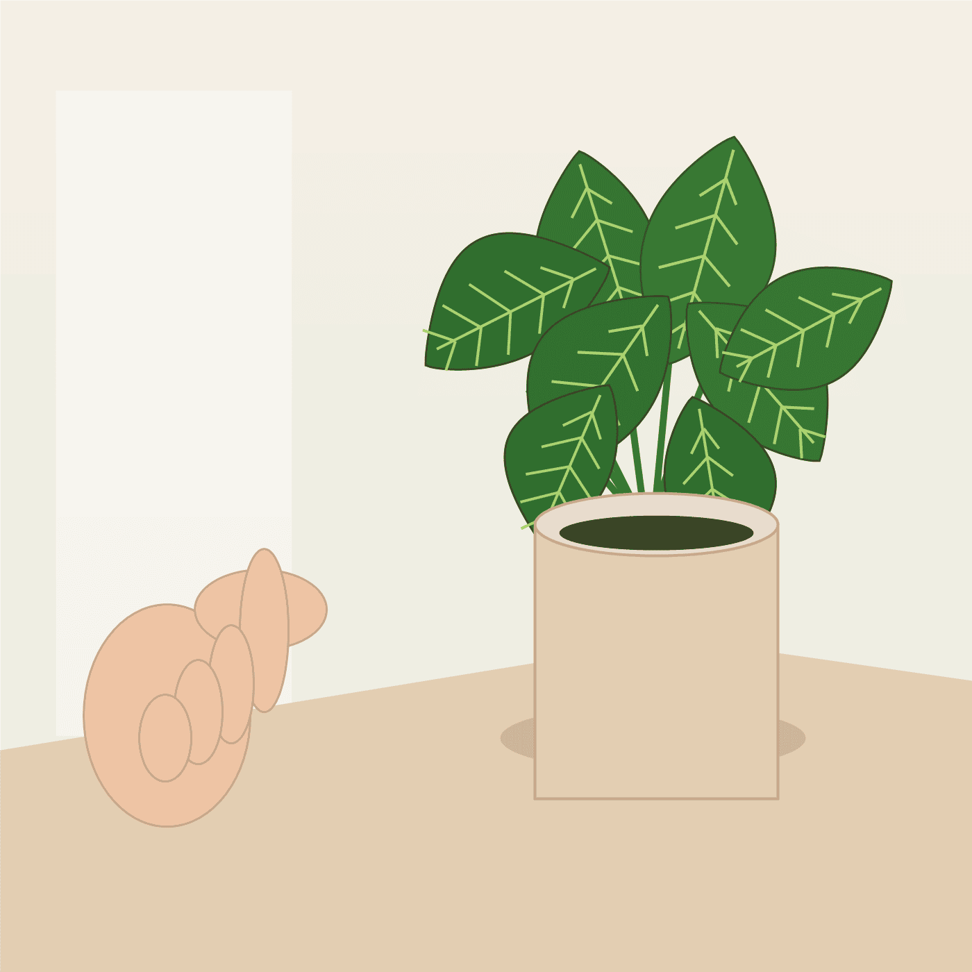 明るい室内で葉が内側に丸まった観葉植物を見ながら、窓際の置き場所と葉の状態を確認している様子