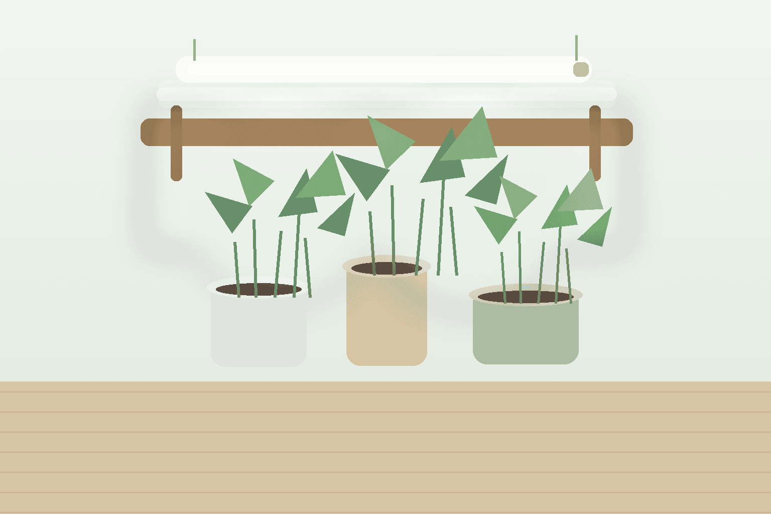棚に置いた小型の観葉植物へ白色の育成ライトをやさしく当てている室内の様子