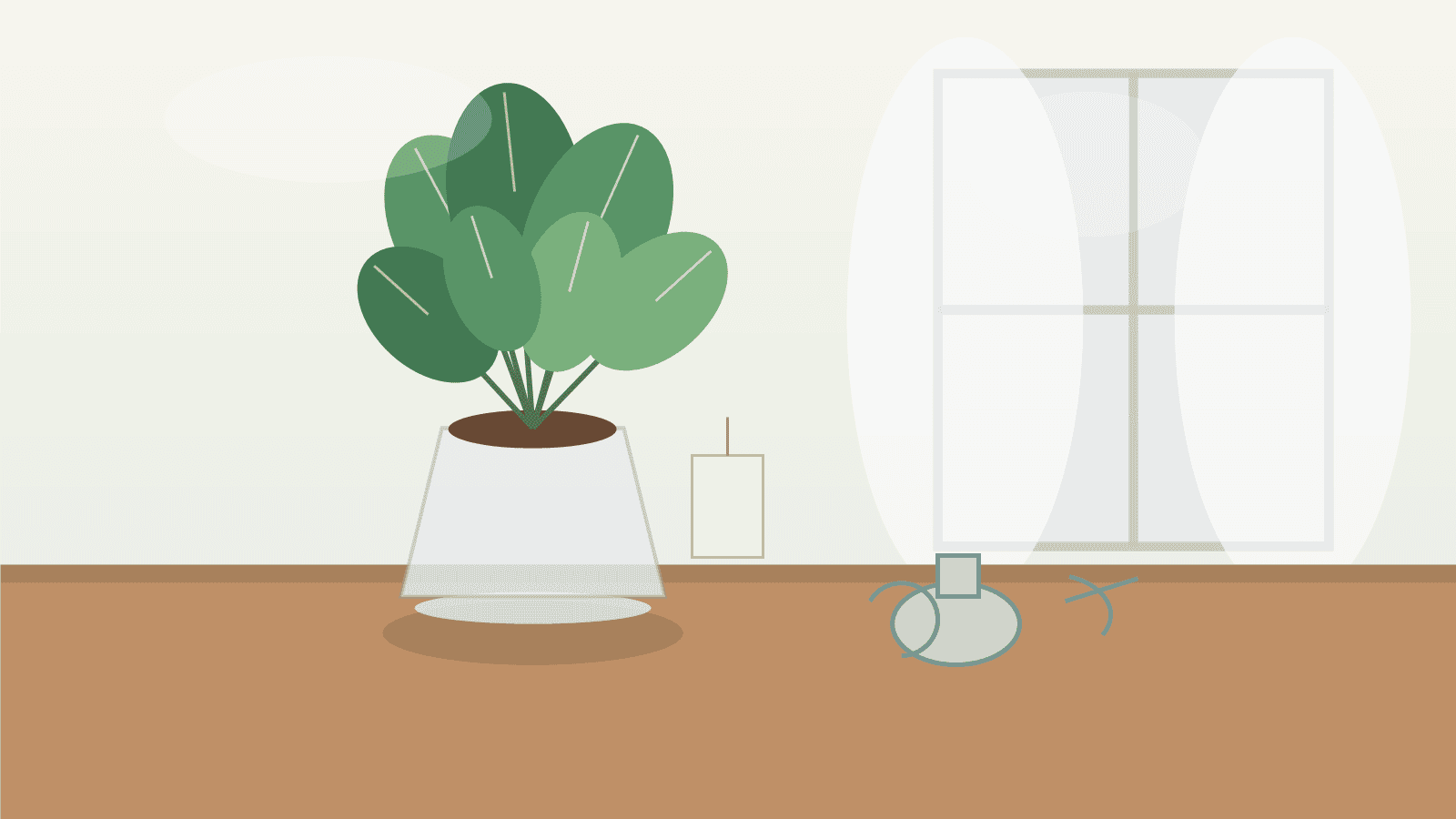 買ったばかりの観葉植物を明るい室内で落ち着かせている様子